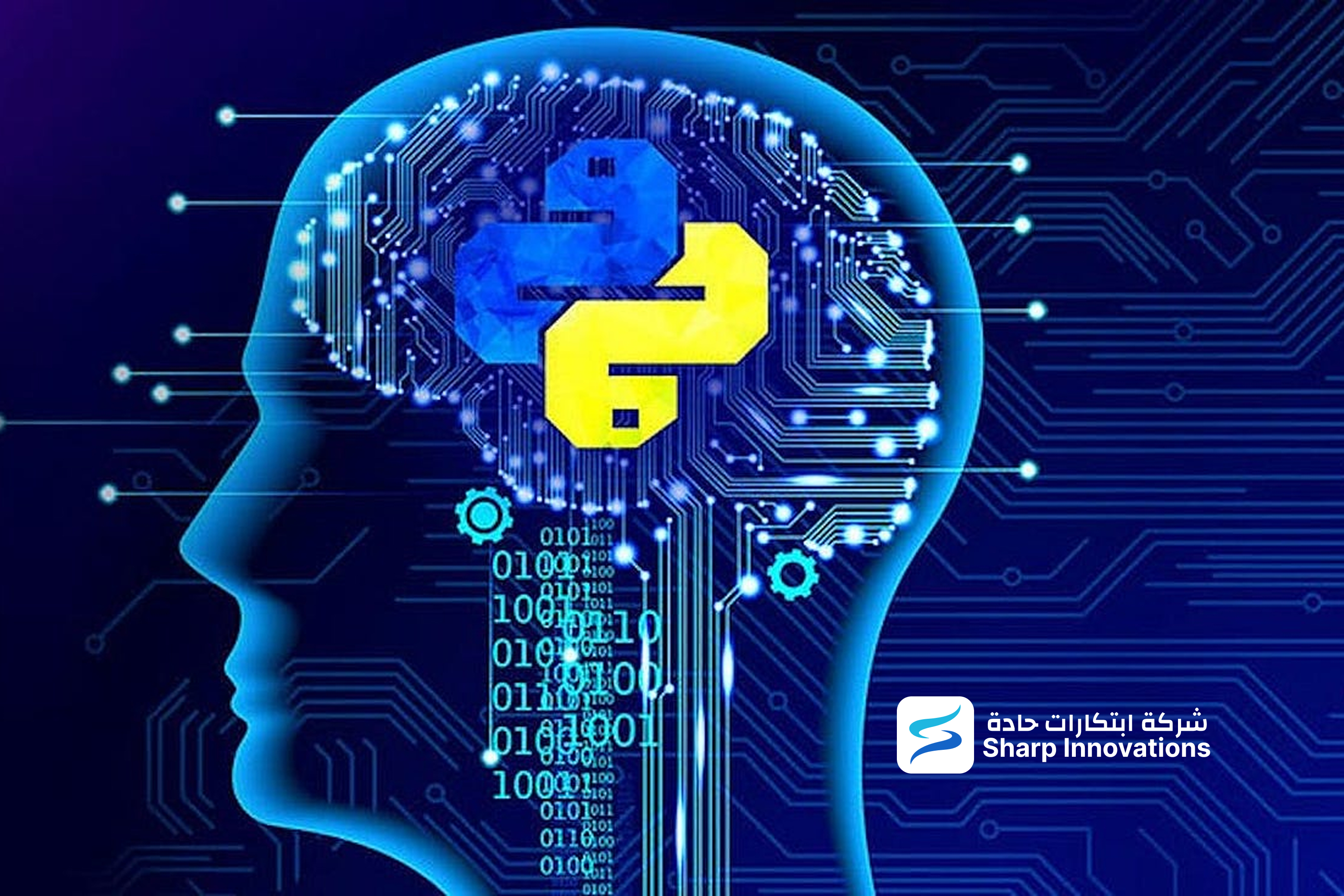 Why Python Is the Most Popular Programming Language in 2026